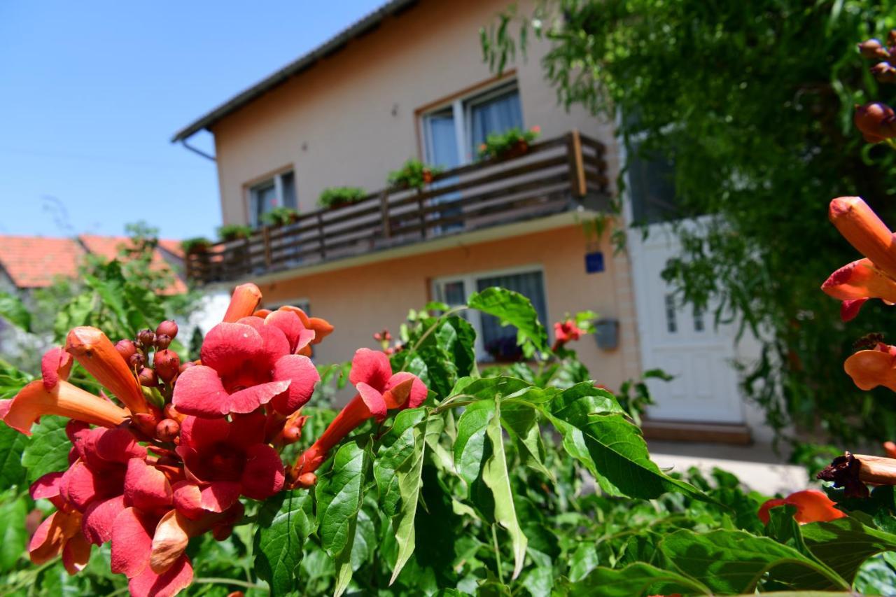 Apartman Dorijan Rakovica Zewnętrze zdjęcie